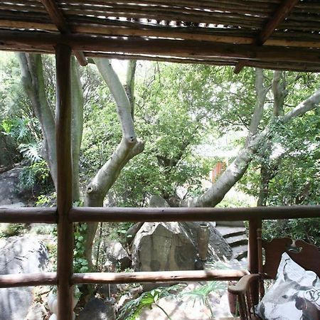 יוהנסבורג Little Forest Guest House מראה חיצוני תמונה