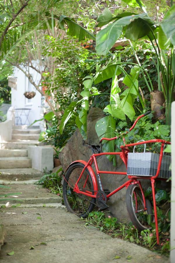 יוהנסבורג Little Forest Guest House מראה חיצוני תמונה