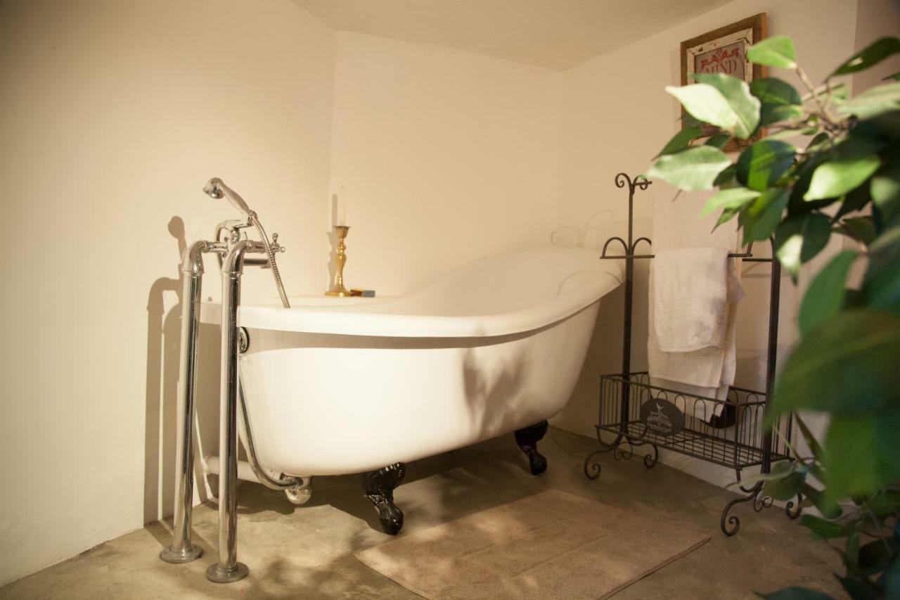 יוהנסבורג Little Forest Guest House מראה חיצוני תמונה
